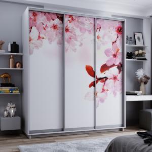 купить шкаф-купе купить шкаф-купе