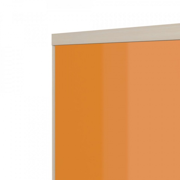 шкаф в детскую комнату