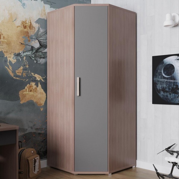 шкаф в детскую комнату