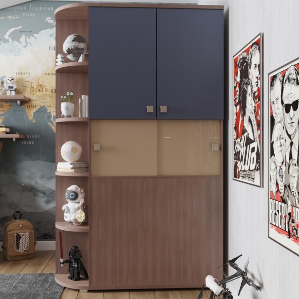 шкаф в детскую комнату