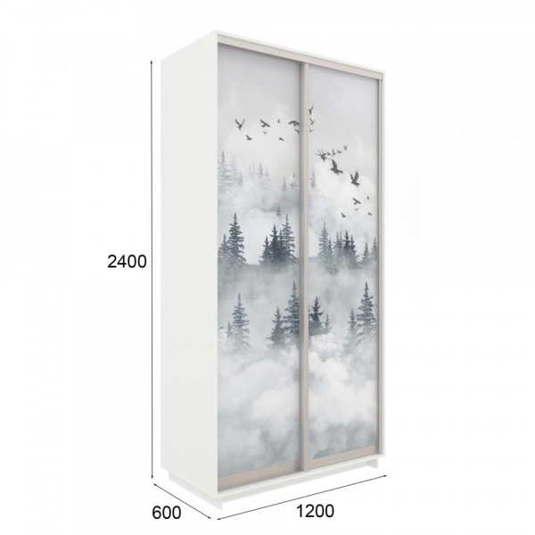 купить шкаф-купе