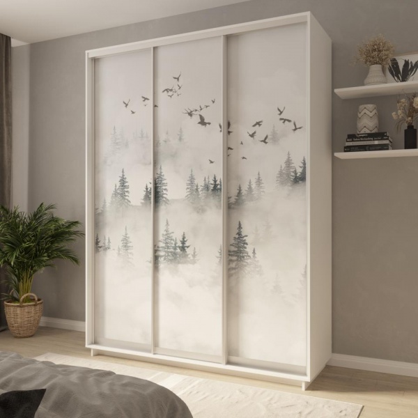 купить шкаф-купе