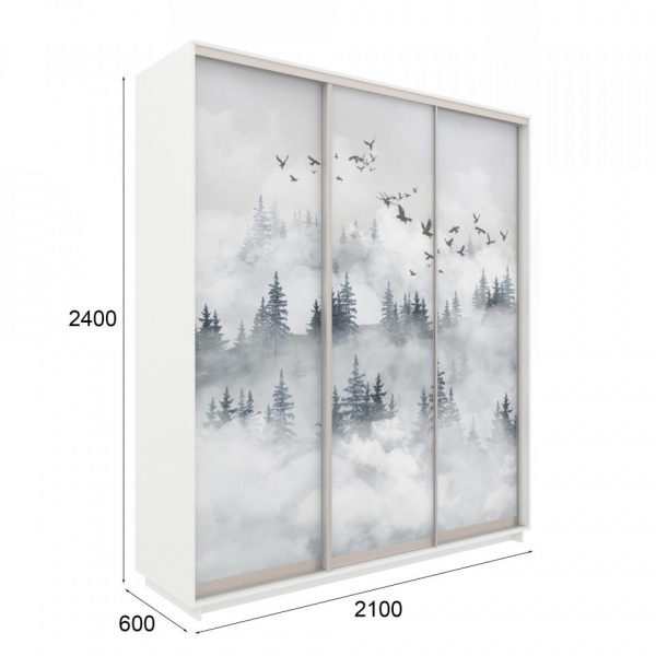 купить шкаф-купе