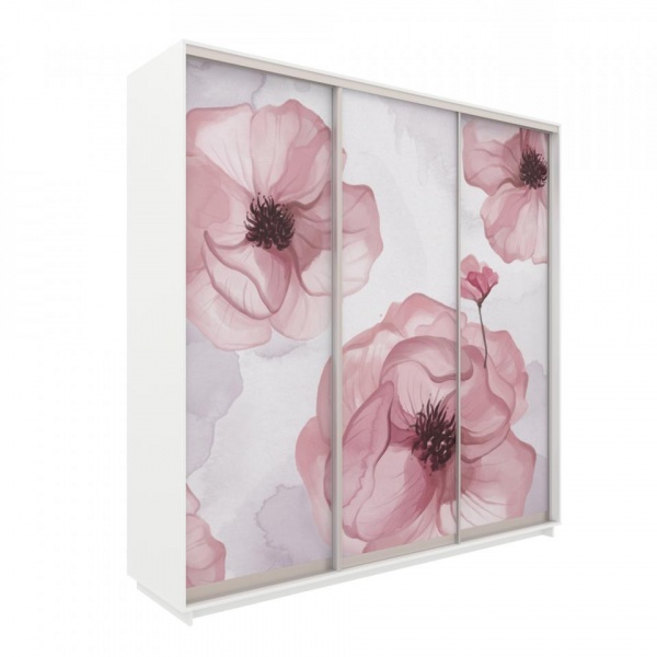 купить шкаф-купе