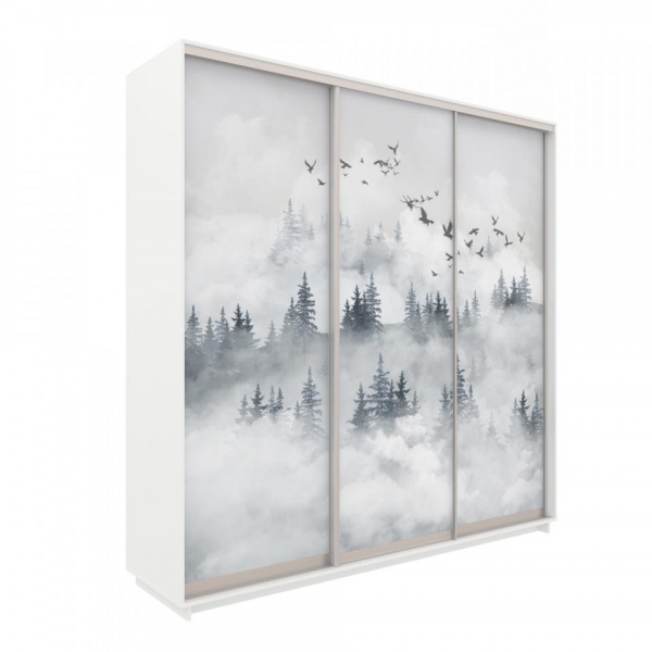 купить шкаф-купе