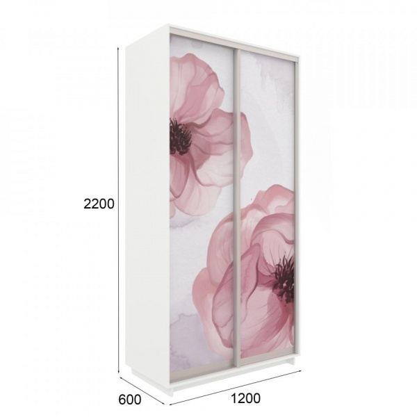 купить шкаф-купе