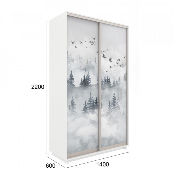 купить шкаф-купе