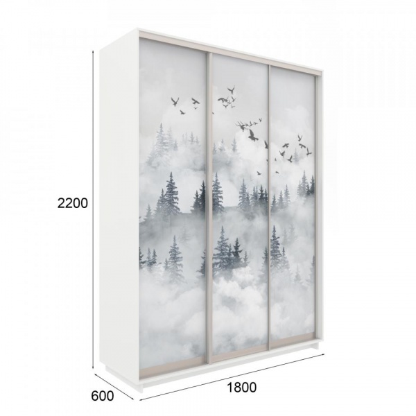 купить шкаф-купе