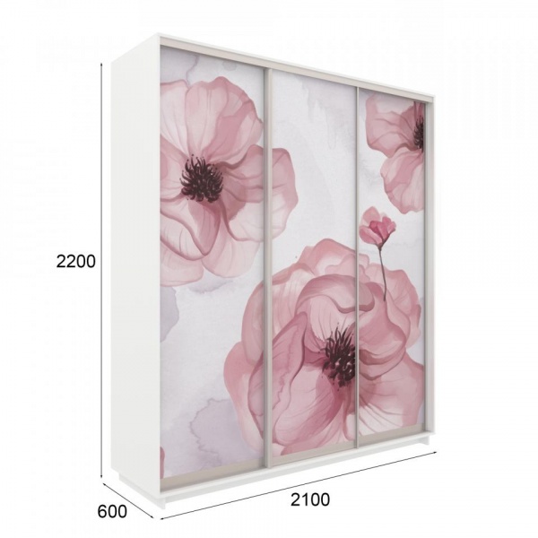 купить шкаф-купе