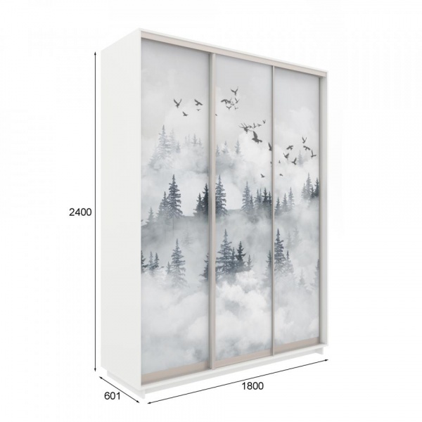 купить шкаф-купе