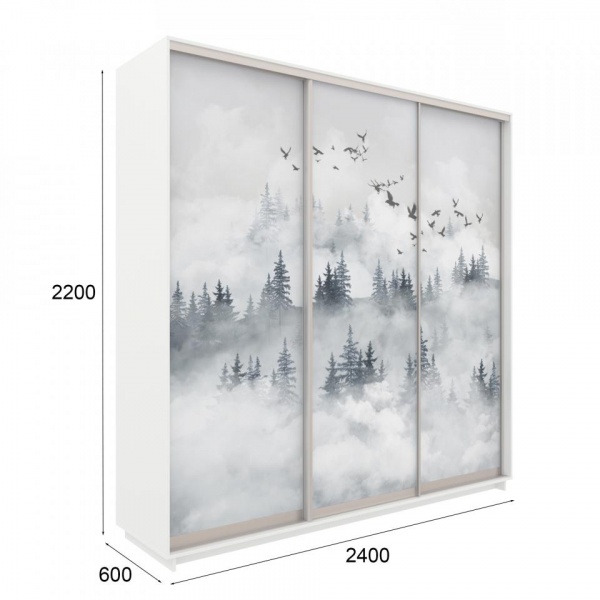 купить шкаф-купе