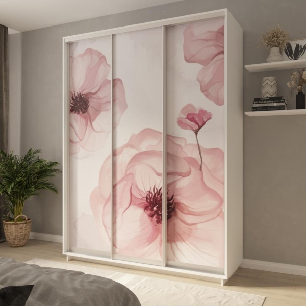 купить шкаф-купе