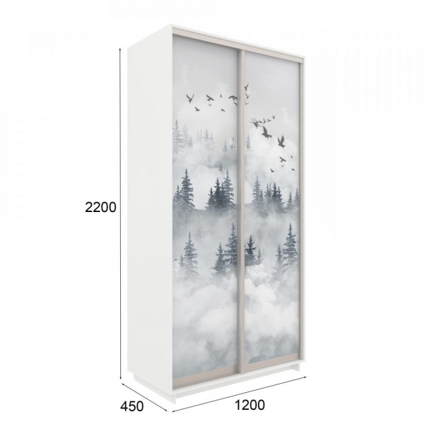 купить шкаф-купе