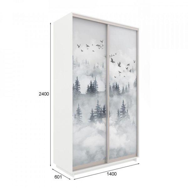 купить шкаф-купе