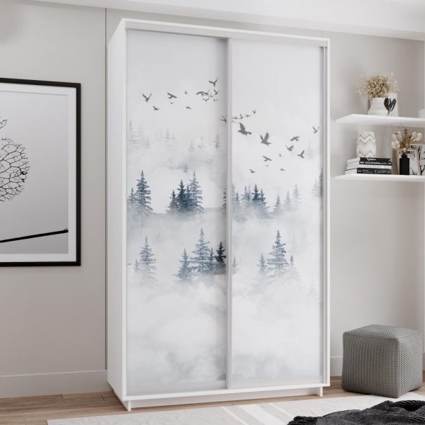 купить шкаф-купе