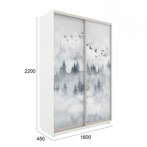 купить шкаф-купе