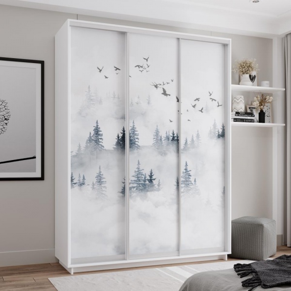 купить шкаф-купе