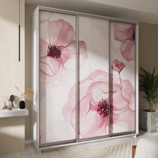 купить шкаф-купе