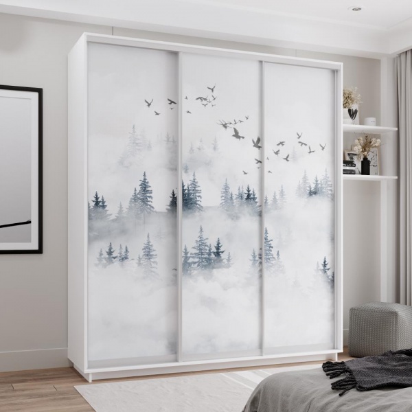 купить шкаф-купе