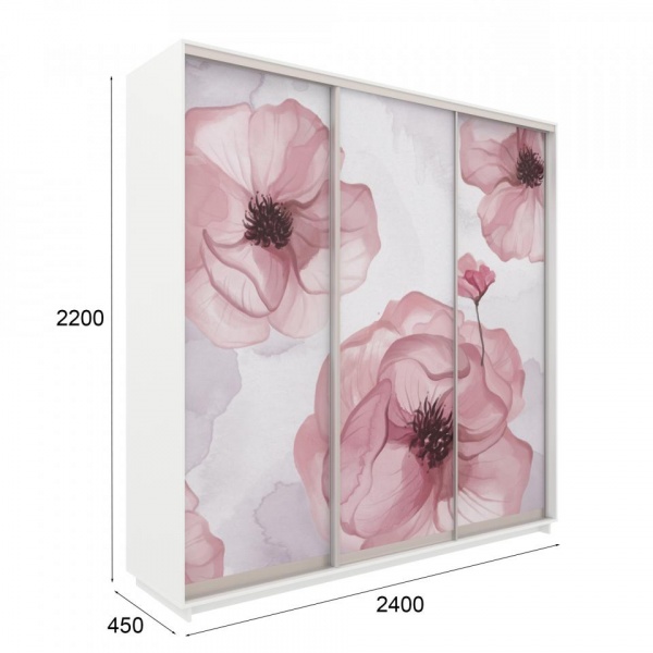 купить шкаф-купе