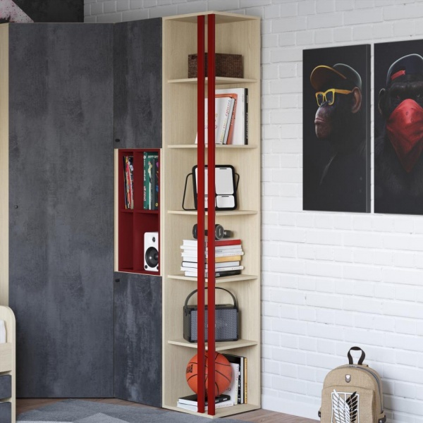 шкаф в детскую комнату