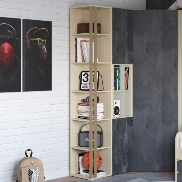 шкаф в детскую комнату