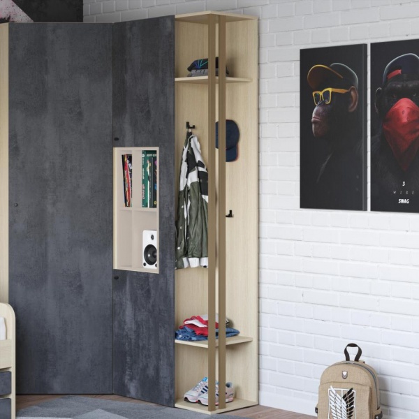 шкаф в детскую комнату