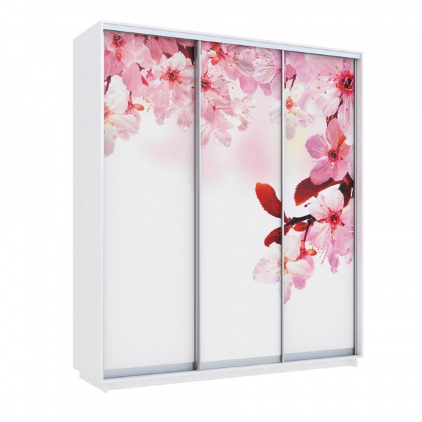 купить шкаф-купе