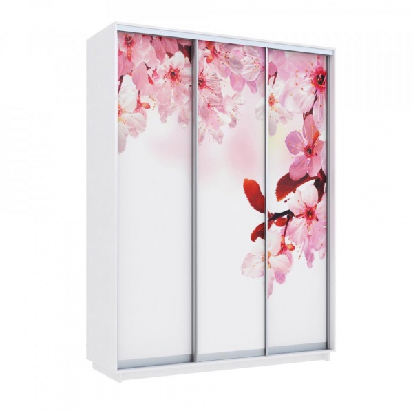 купить шкаф-купе