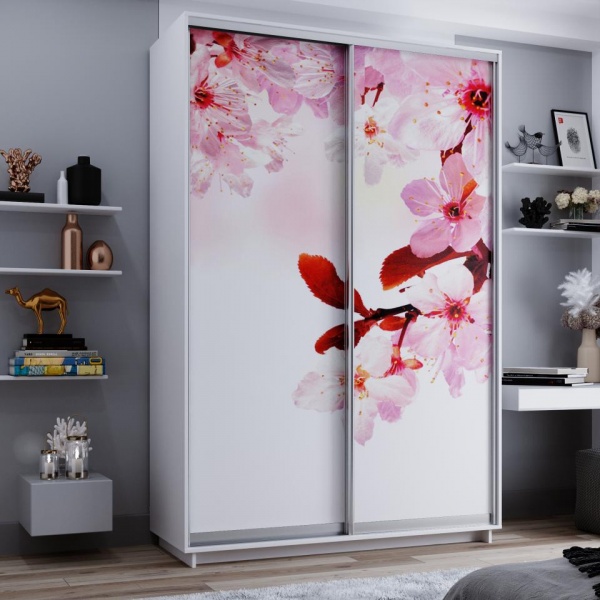 купить шкаф-купе