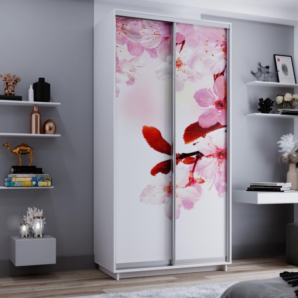 купить шкаф-купе