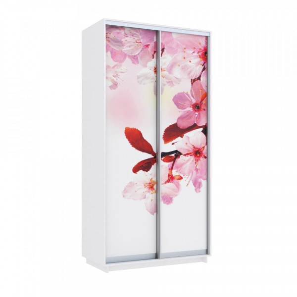 купить шкаф-купе