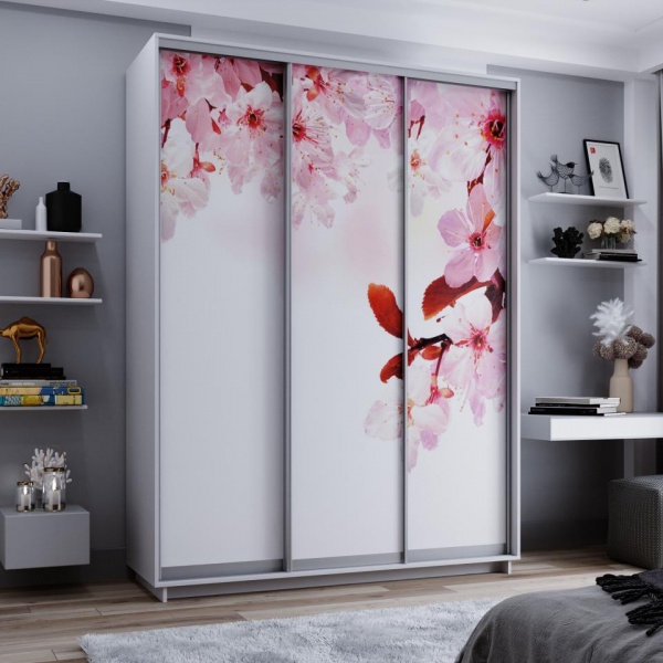 купить шкаф-купе