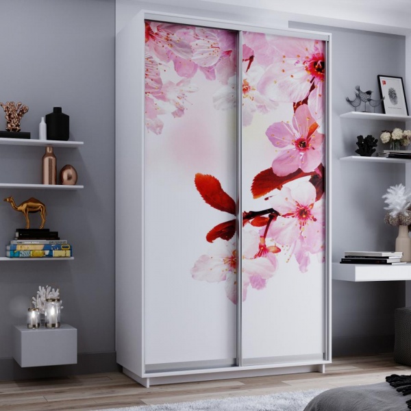 купить шкаф-купе