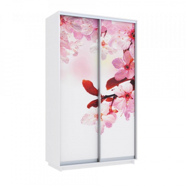 купить шкаф-купе