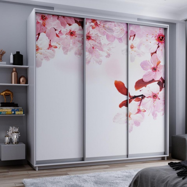 купить шкаф-купе