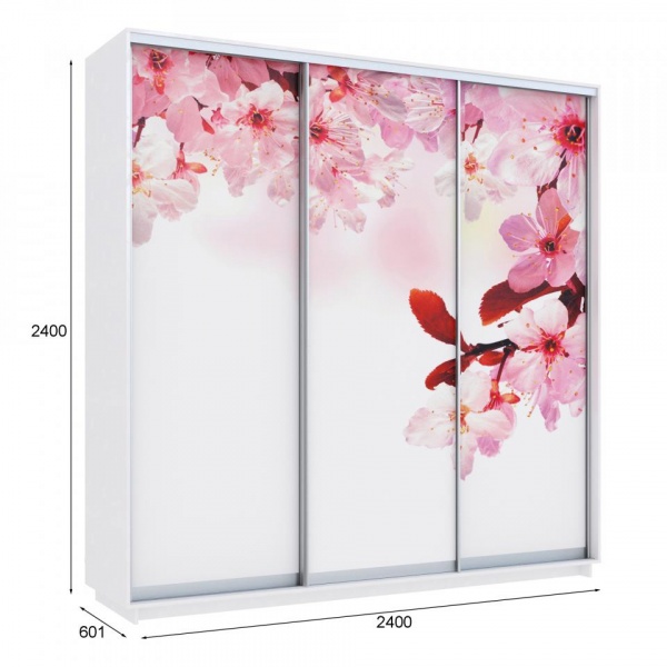 купить шкаф-купе