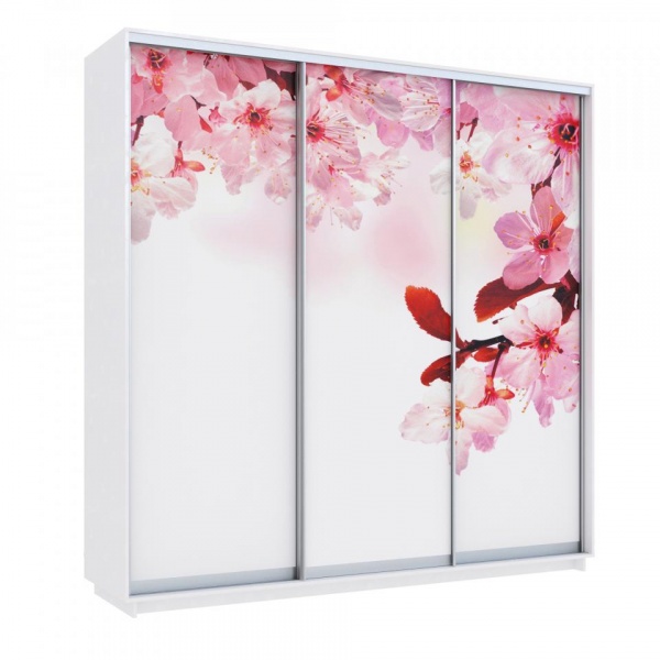 купить шкаф-купе