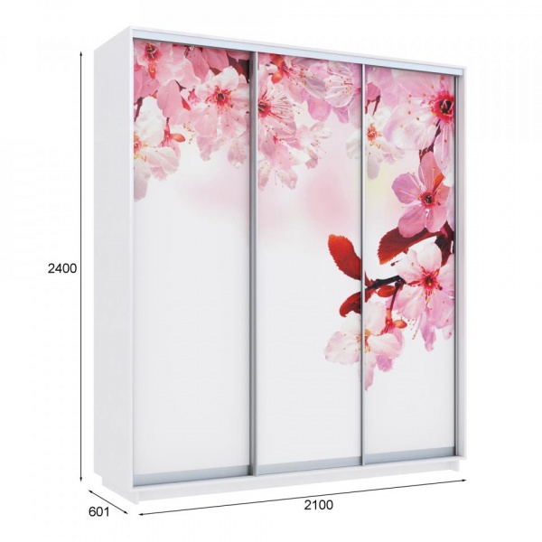 купить шкаф-купе