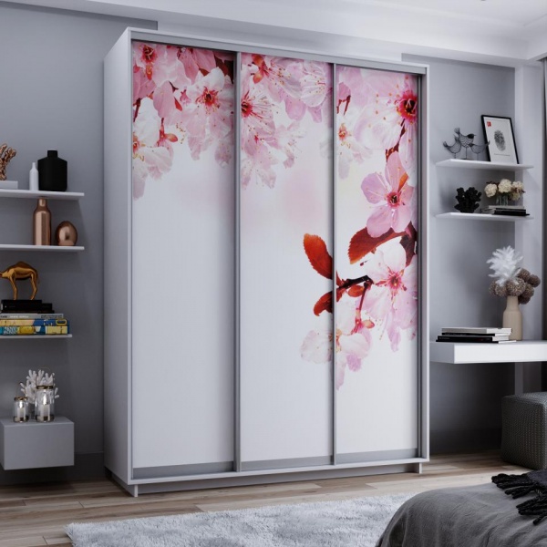 купить шкаф-купе