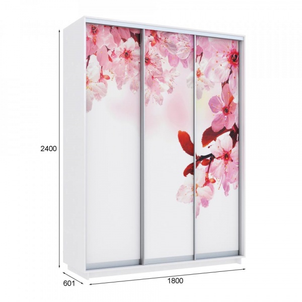 купить шкаф-купе