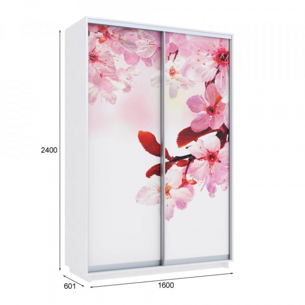 купить шкаф-купе