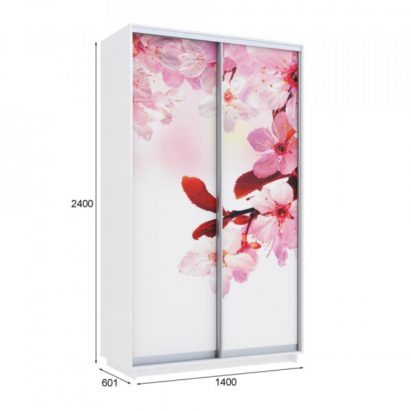 купить шкаф-купе