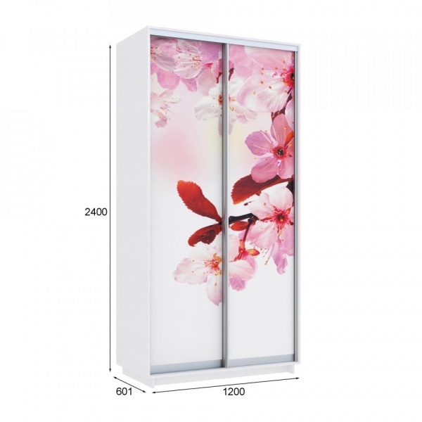 купить шкаф-купе